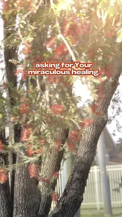 Miracle Prayer