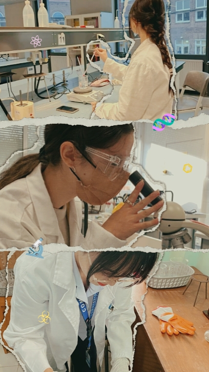 Laboratorio 