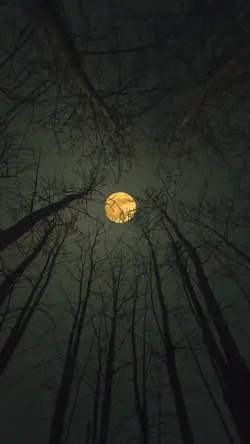 Bulan purnama 