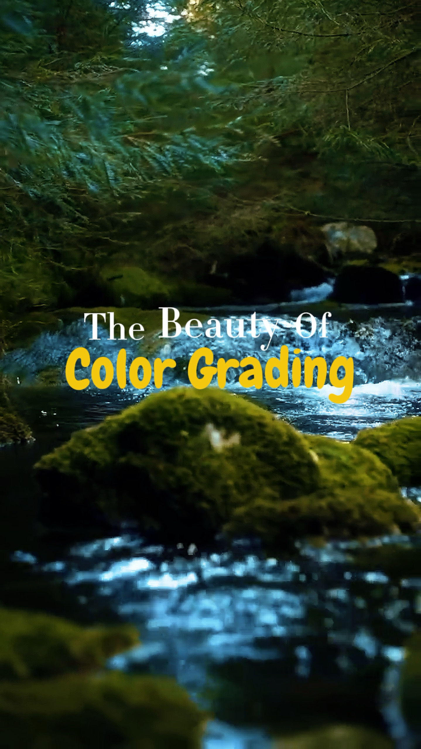 Color Grading 