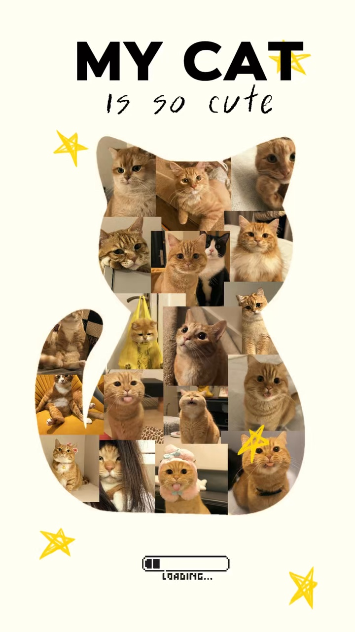 Kucing saya 