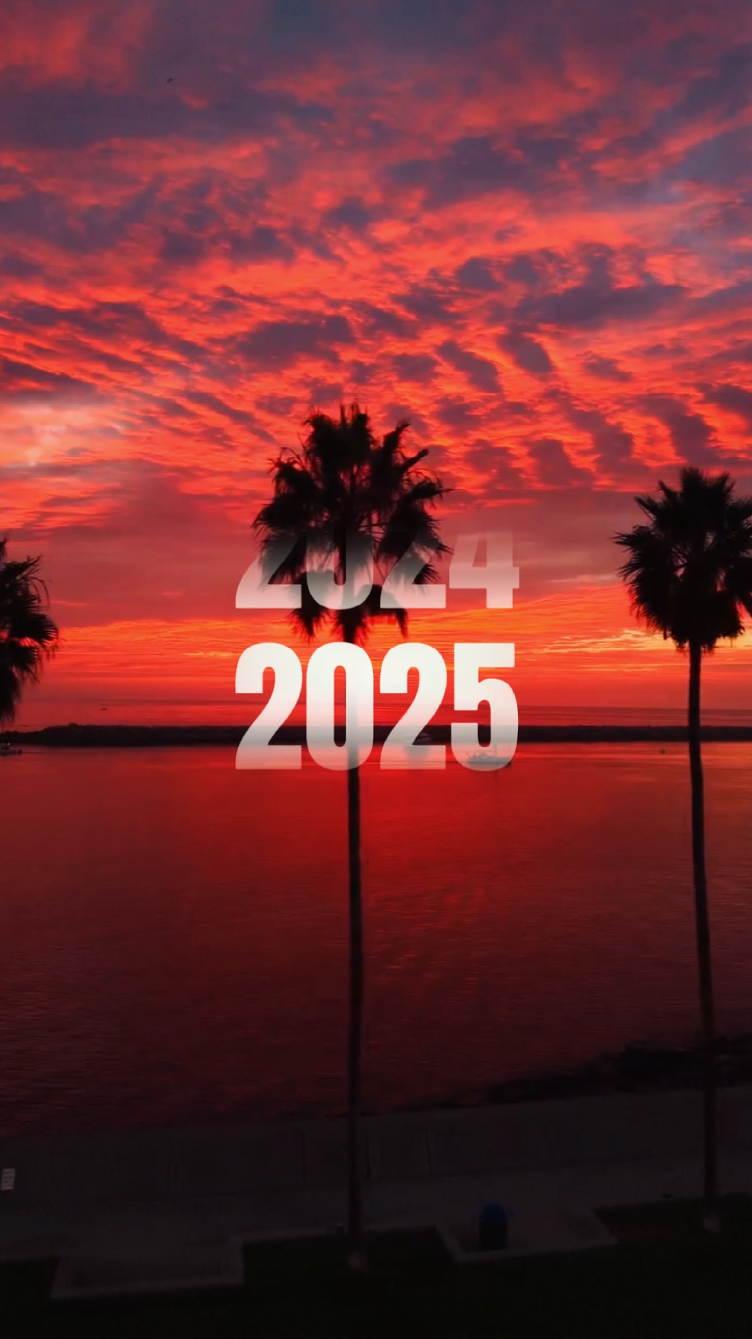 2025 Özeti