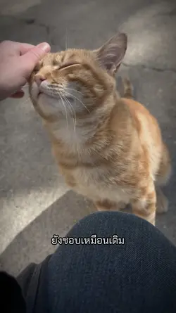 ไลฟ์โฟโต้