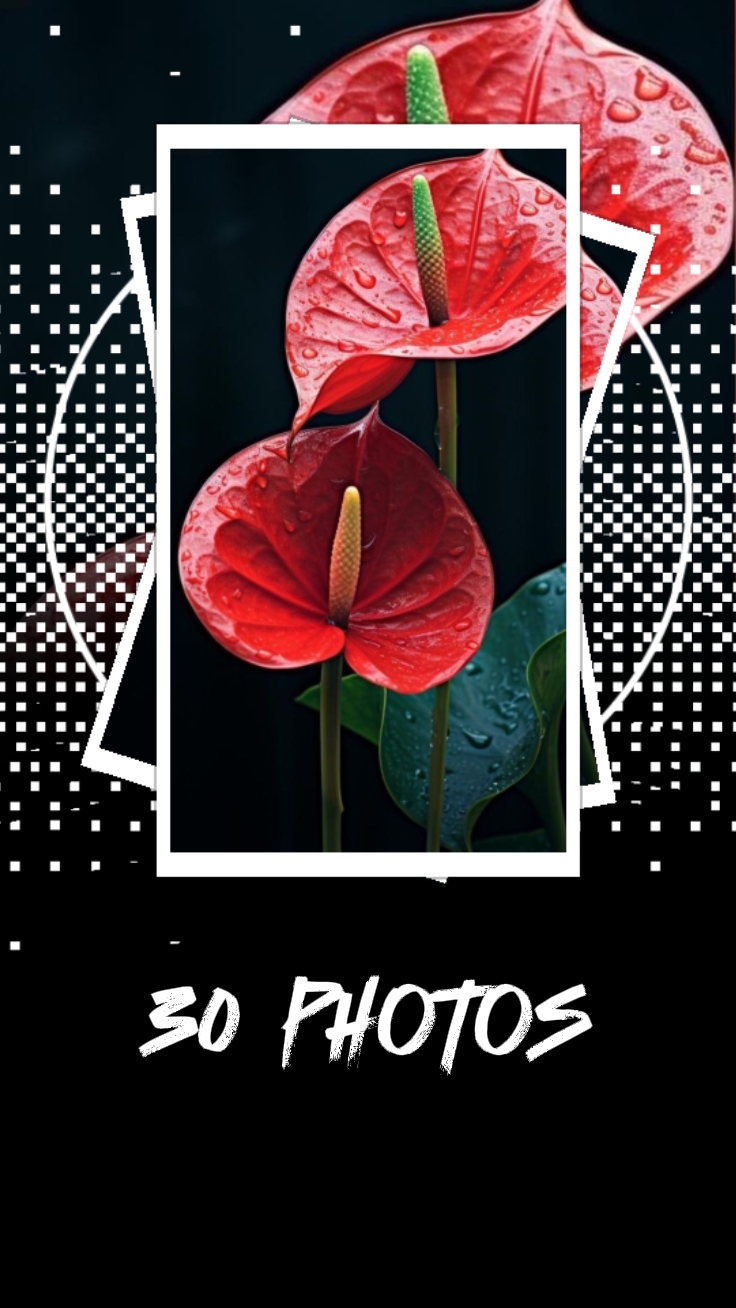 30 photo. Votre texte