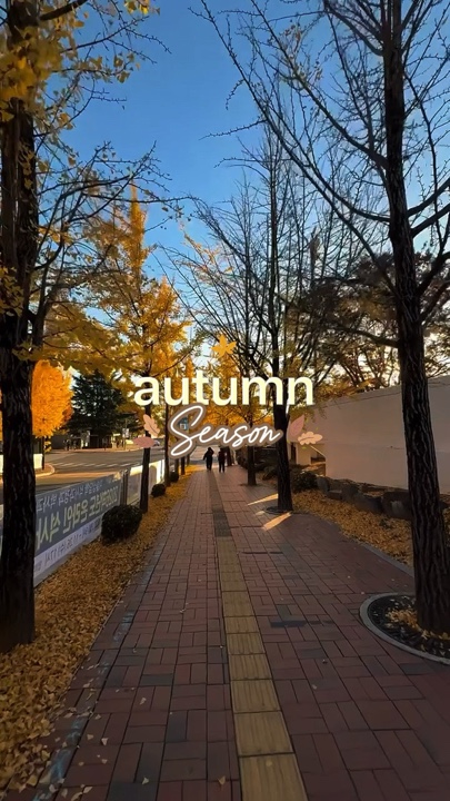 SAISON AUTOMNE