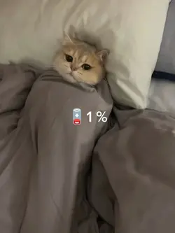 baterai 1 % 100%