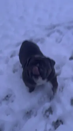 Snow!! Slow mo