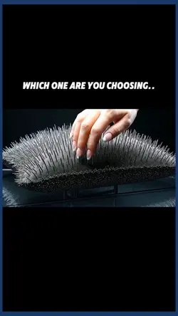 which one