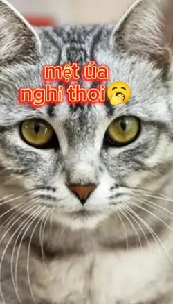 tsi muaj