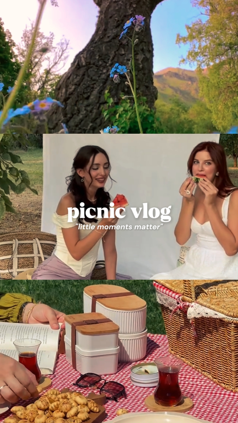Piknik vlog 'u 