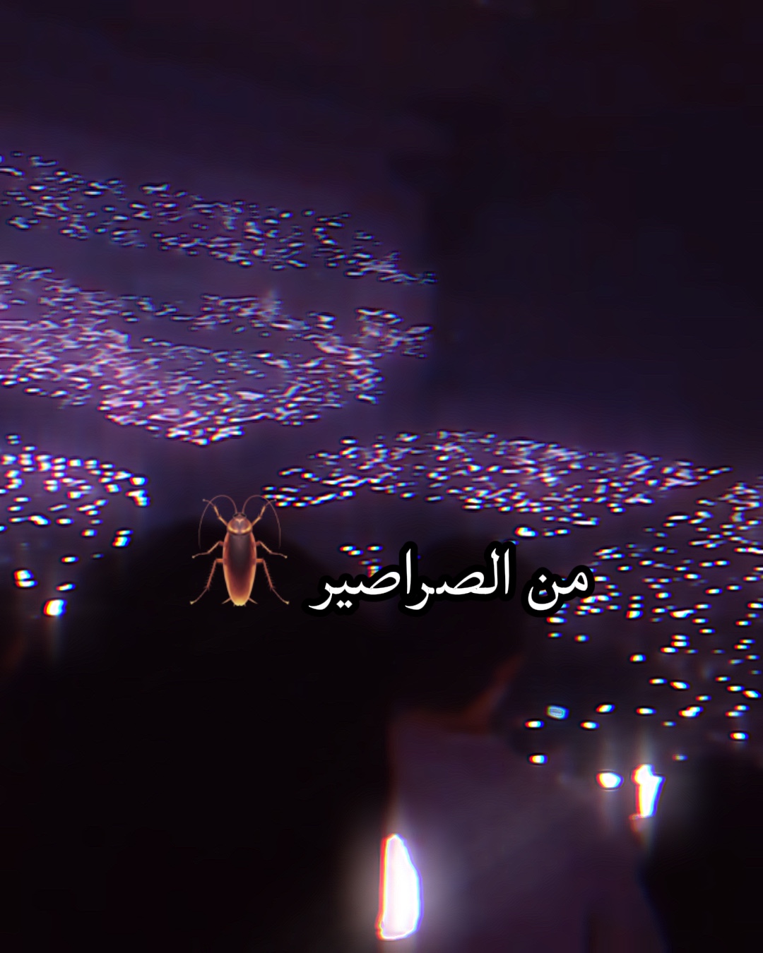 لكل الارمي😝❤️‍🔥