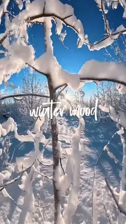 Winter mood