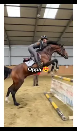 oppa