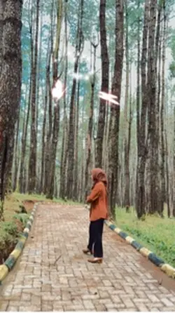 Hutan
