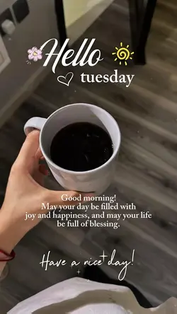 Hello Tuesday 🌞