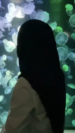 อควาเรี่ยม บางแสน