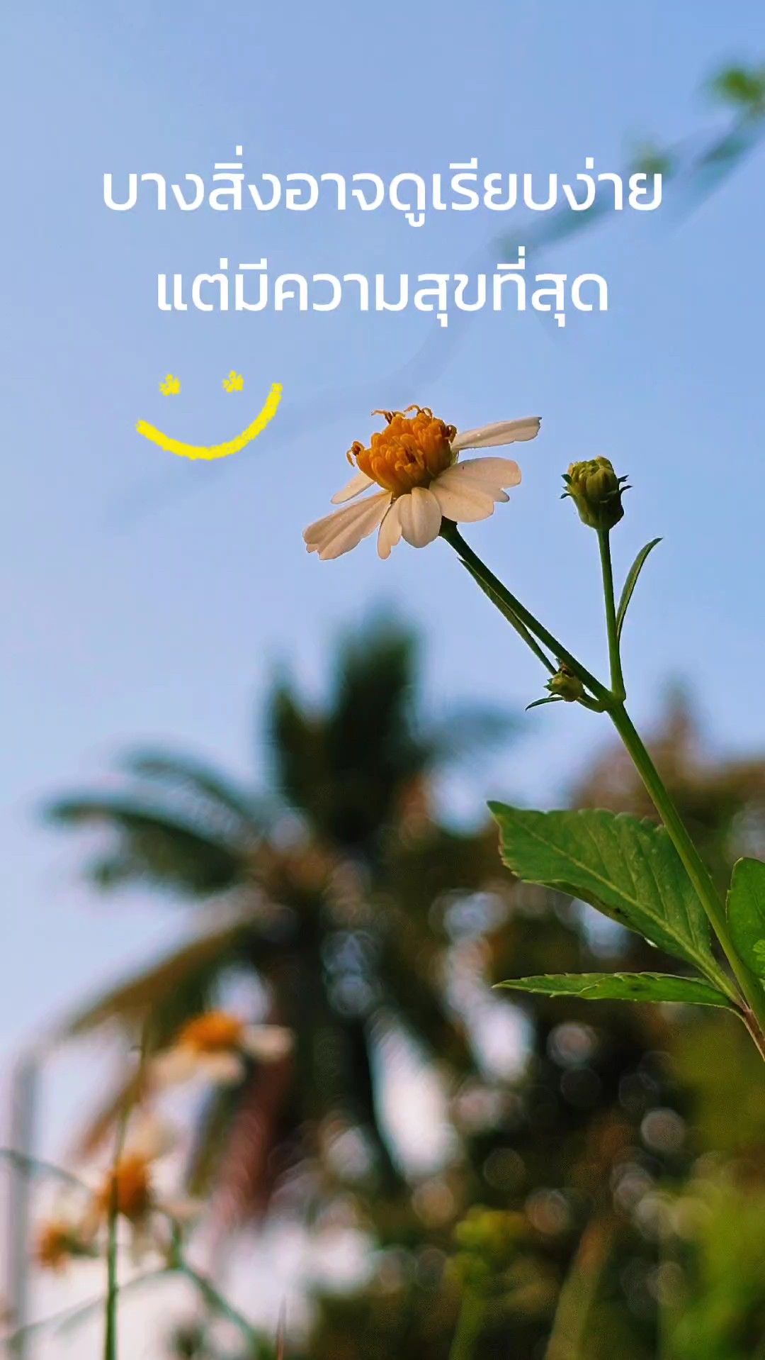 ความสุข