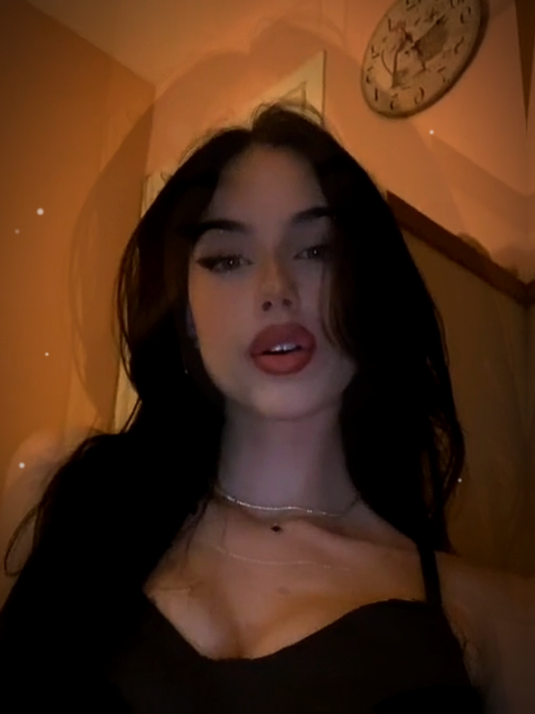 Kameras