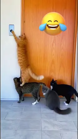 iseng banget si oyen