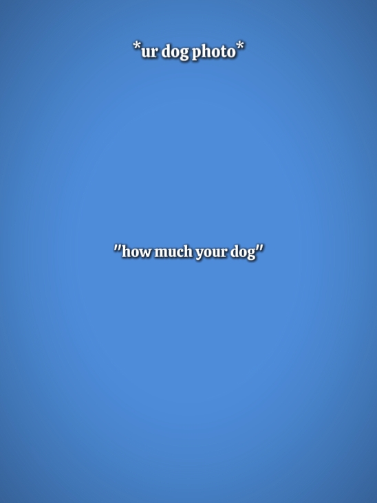 ur dog