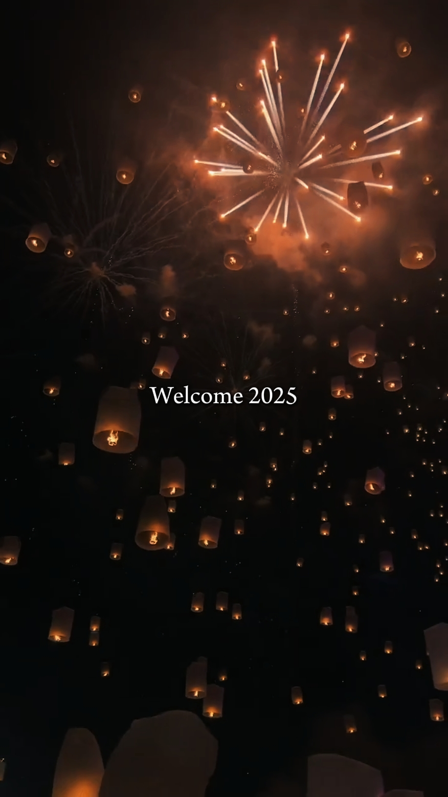 欢迎2025