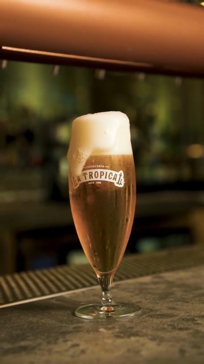Bier