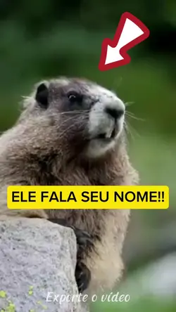 Ele fala seu nome kk