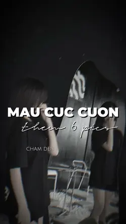 MẪU 6 ẢNH CUỐN