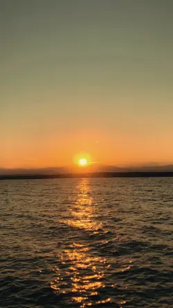 Vlog style go cortis