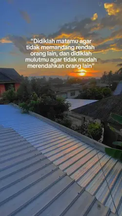 status harian