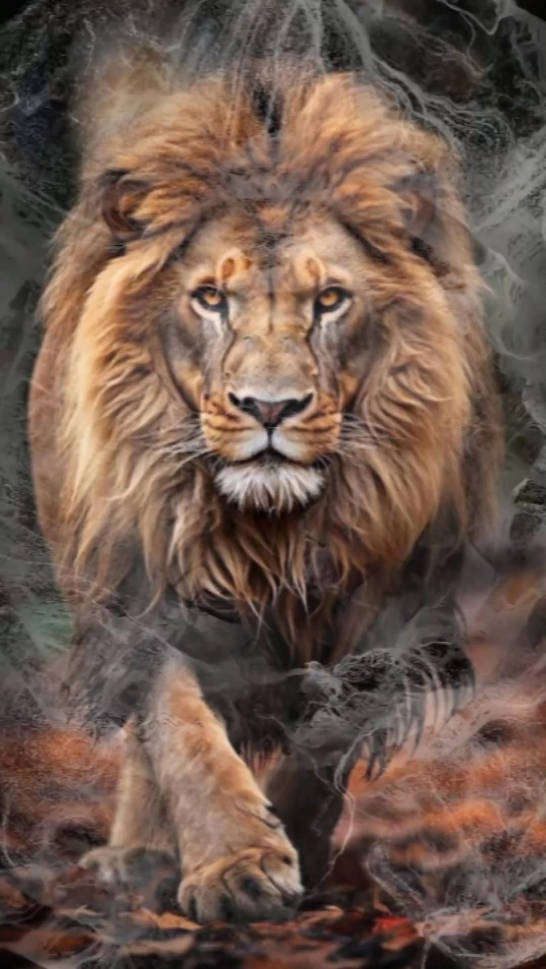 Tendência de fotos 