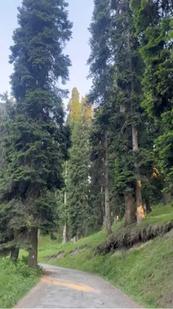 Kashmir
