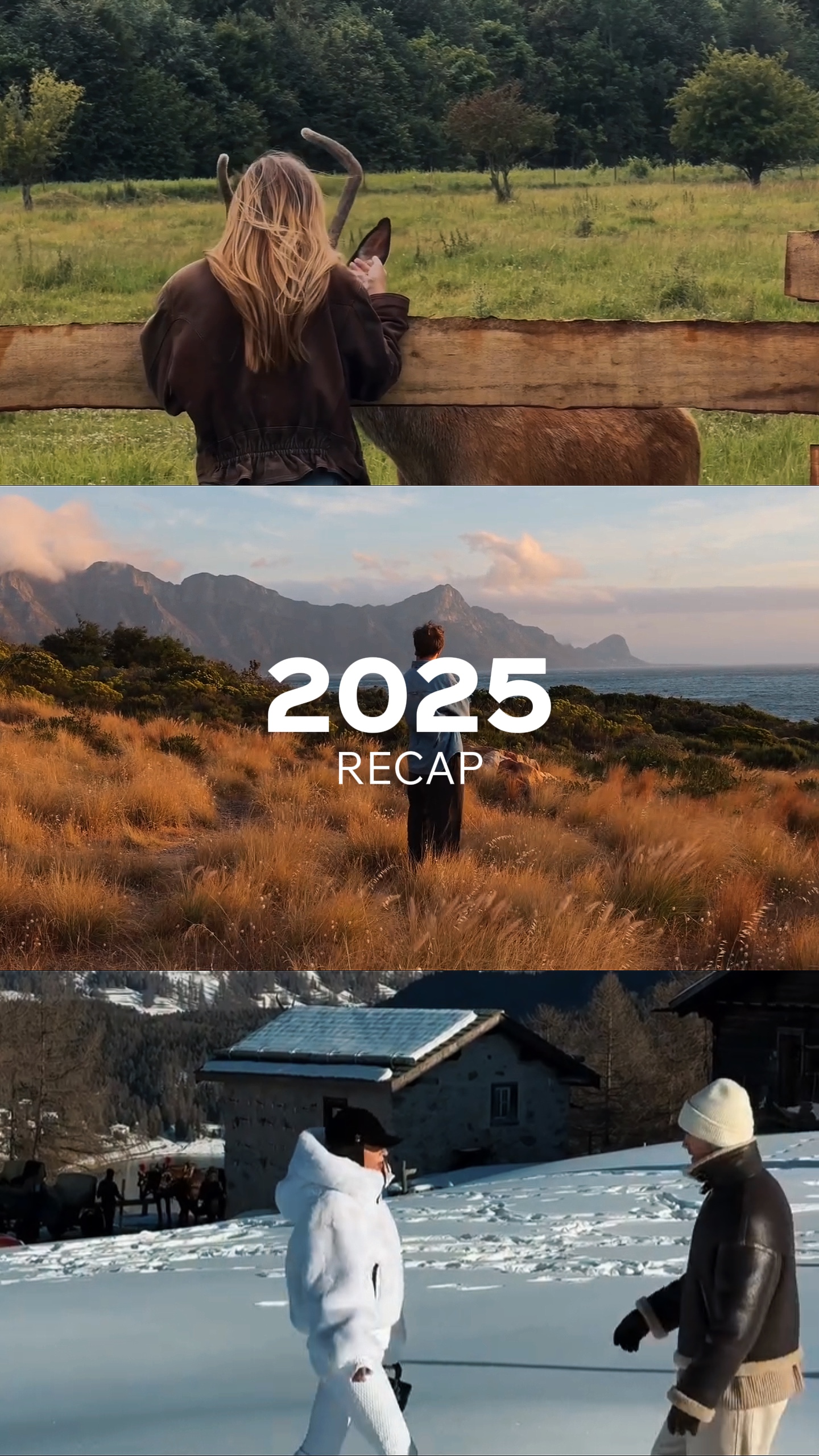 2025 özeti