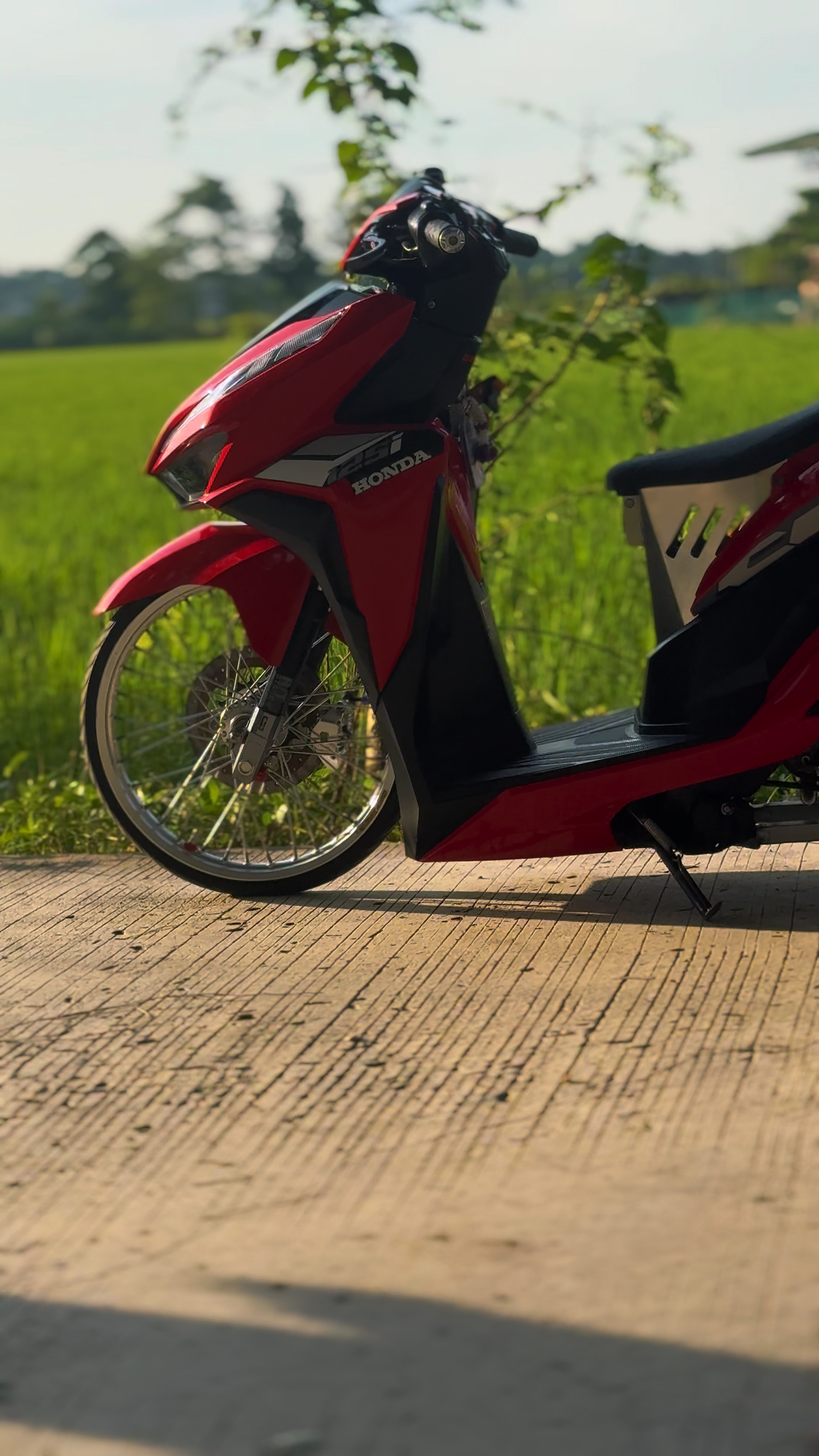 Cover Picture