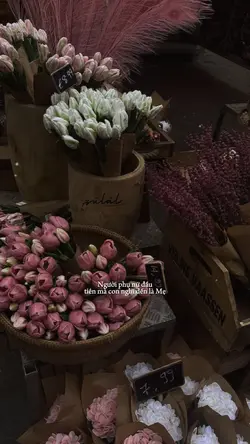 8/3 chúc mẹ