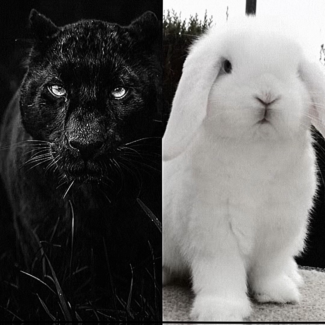 มีลูกจะตั้งชื่อว่า??