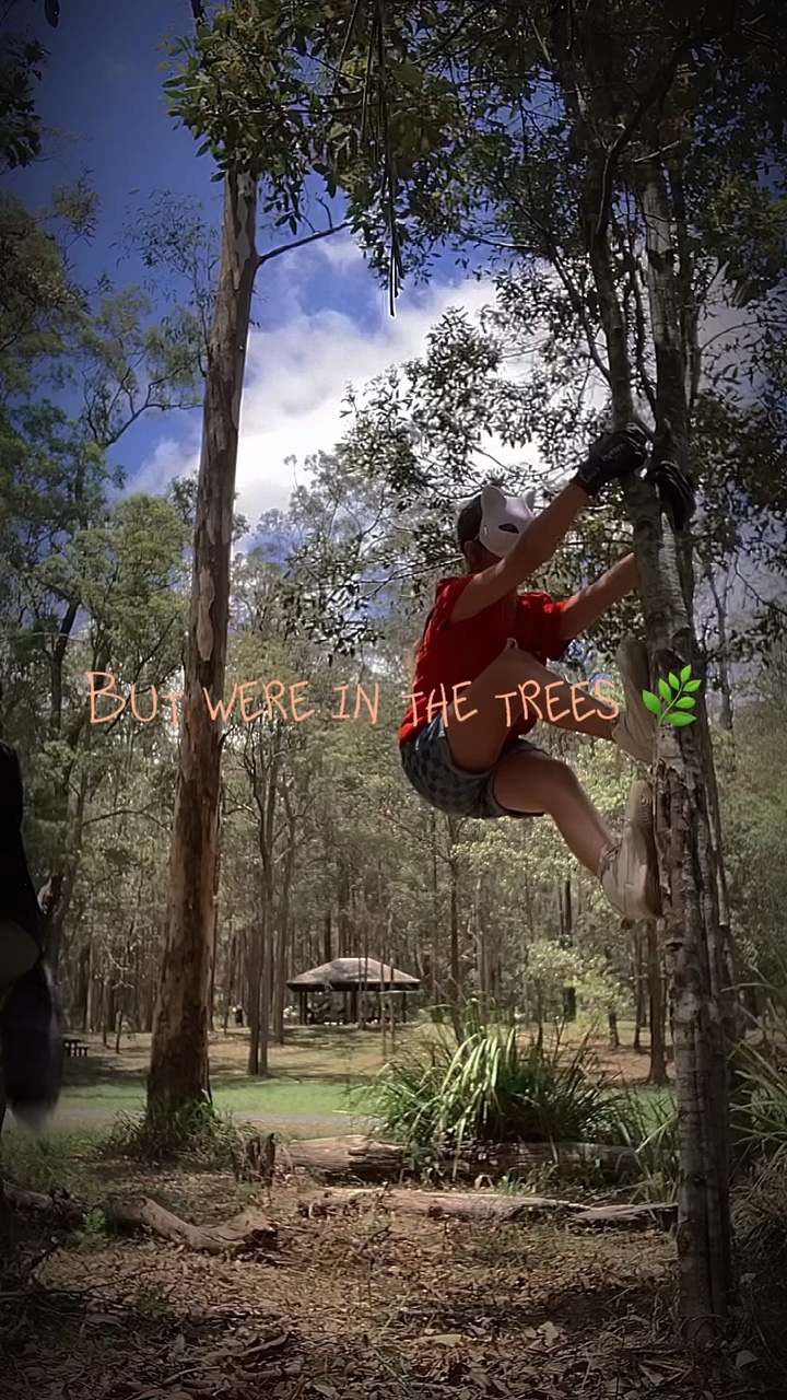 We’re in the trees 🌿