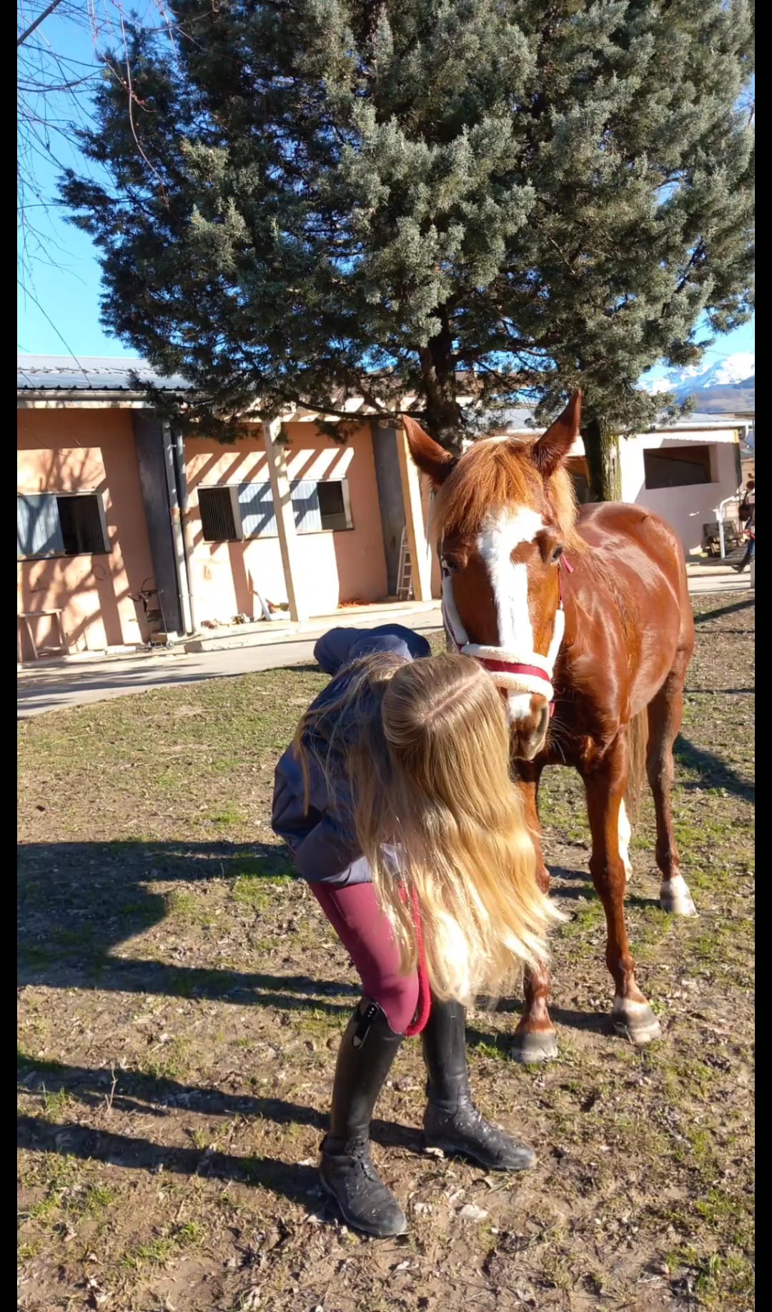 On réussira promis !