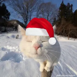 °•Merry Christmas 