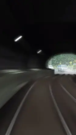 Madu dan racun