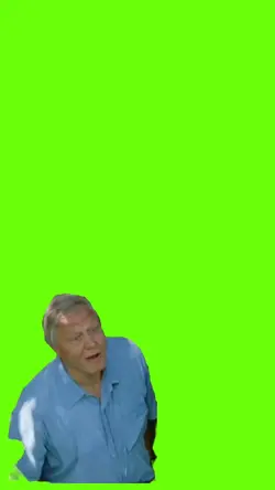 half blind half deaf
