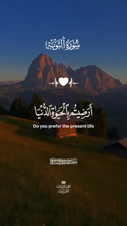 تلاوة باكية المنشاوي