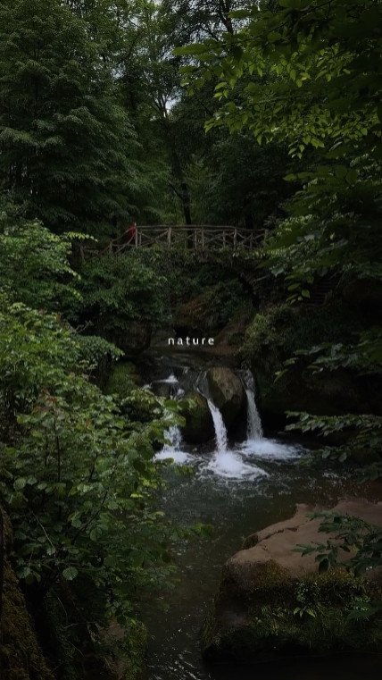 nature