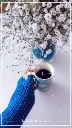 ชัตเตอร์