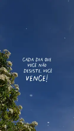 Você Vence