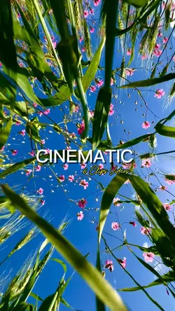 Cinematic 6 Videos
