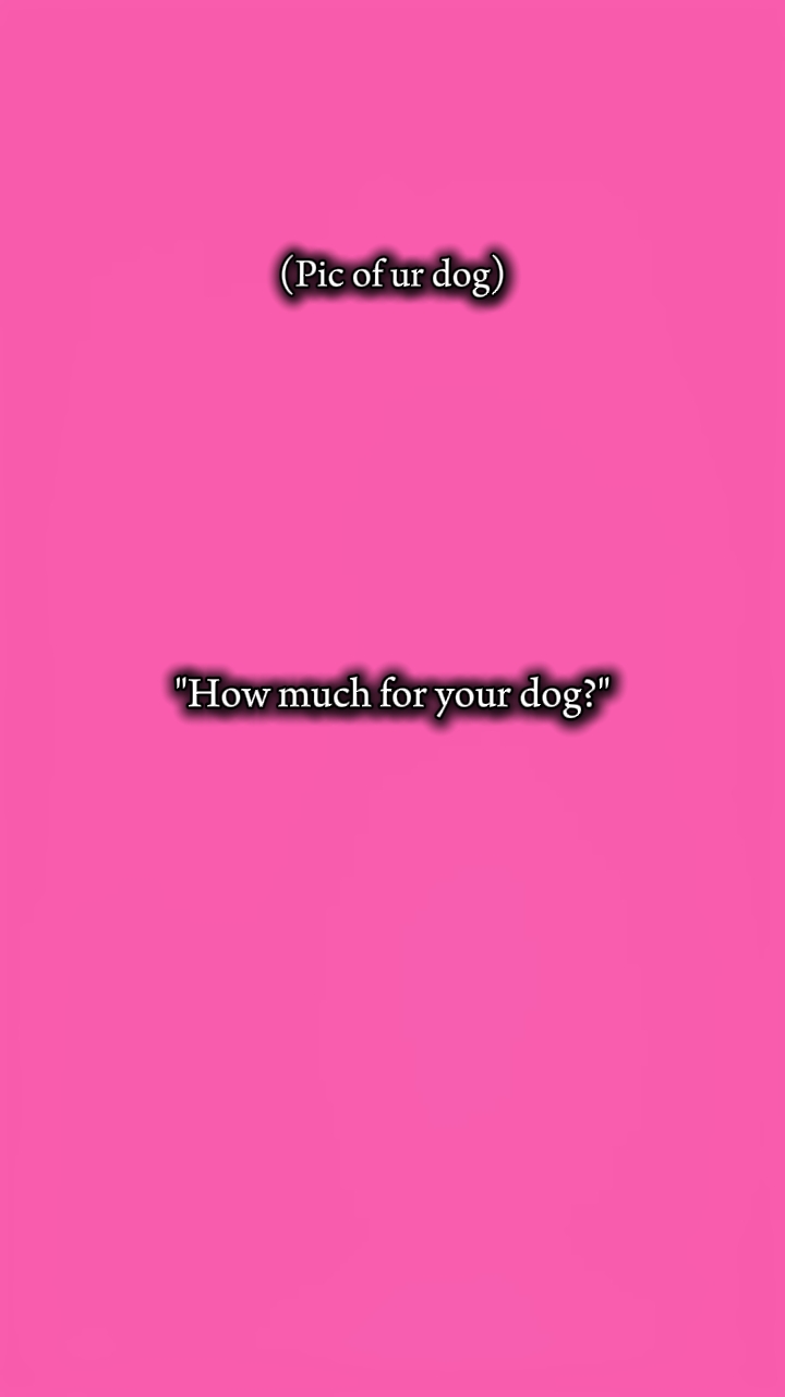dog