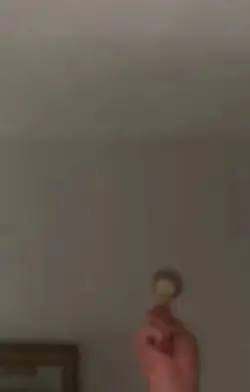 Trending Editb