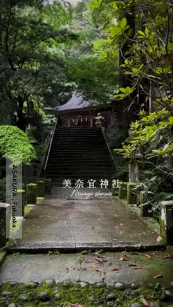 幻想的な神社