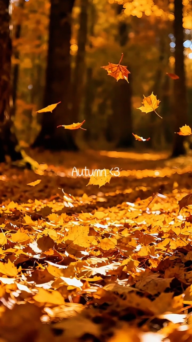 autumn 2026 trend